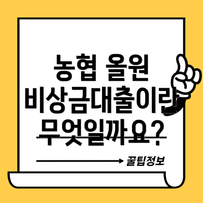 농협 올원 비상금대출이란 무엇일까요?