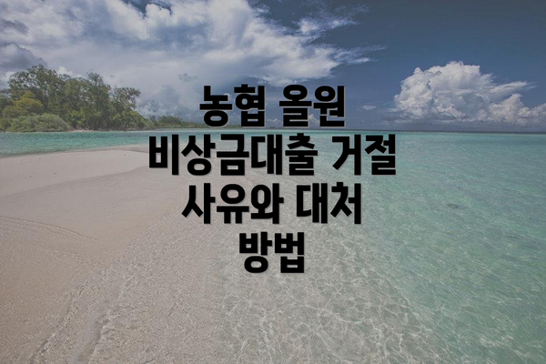 농협 올원 비상금대출 거절 사유와 대처 방법