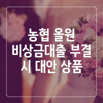 농협 올원 비상금대출 부결 시 대안 상품