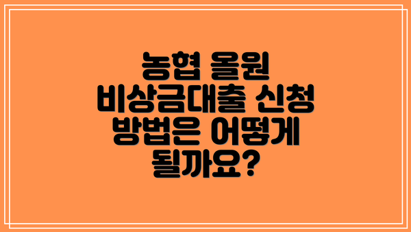 농협 올원 비상금대출 신청 조건은 어떻게 될까요?