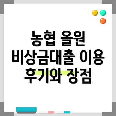 농협 올원 비상금대출 이용 후기와 장점