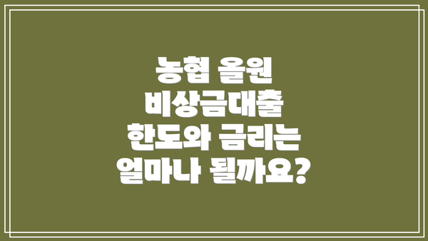 농협 올원 비상금대출 한도와 금리는 얼마나 될까요?