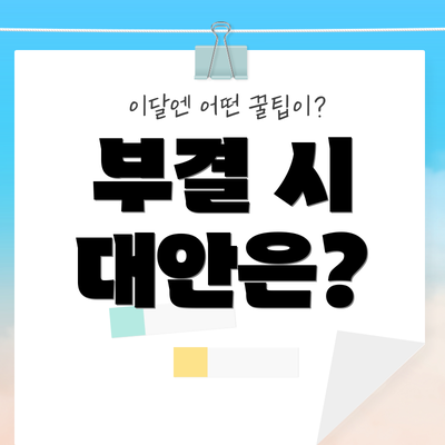 부결 시 대안은?