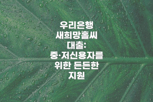 우리은행 새희망홀씨 대출: 중·저신용자를 위한 든든한 지원