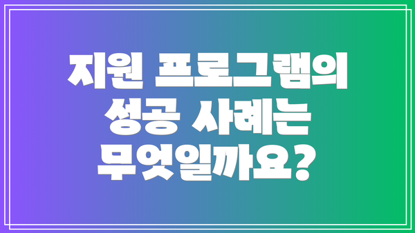 지원 프로그램의 성공 사례는 무엇일까요?