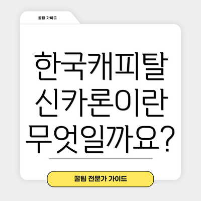 한국캐피탈 신카론이란 무엇일까요?