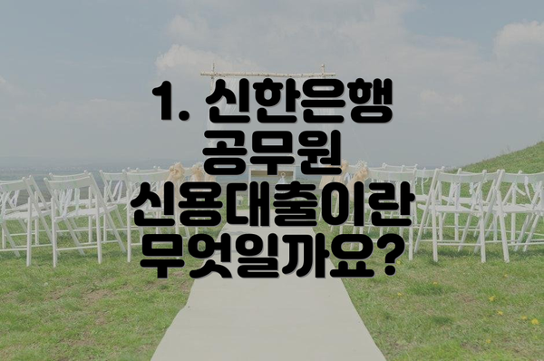 1. 신한은행 공무원 신용대출이란 무엇일까요?