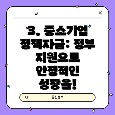 3. 중소기업 정책자금: 정부 지원으로 안정적인 성장을!