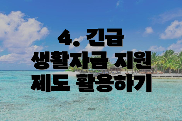 4. 긴급 생활자금 지원 제도 활용하기