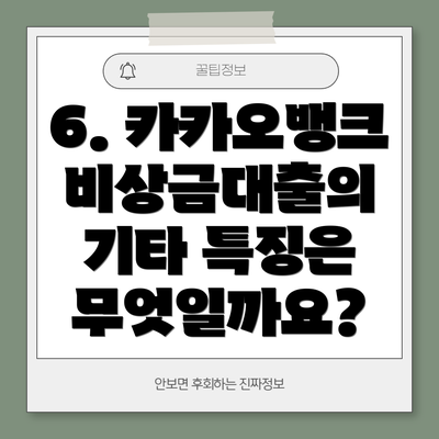 6. 카카오뱅크 비상금대출의 기타 특징은 무엇일까요?
