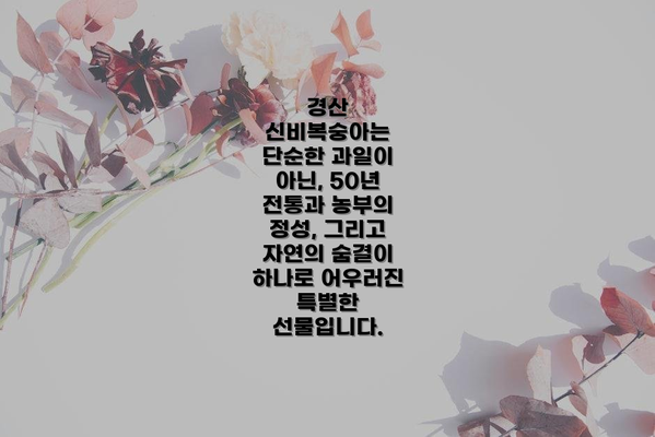 경산 신비복숭아는 단순한 과일이 아닌, 50년 전통과 농부의 정성, 그리고 자연의 숨결이 하나로 어우러진 특별한 선물입니다.