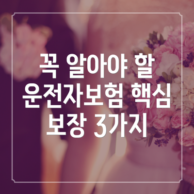 꼭 알아야 할 운전자보험 핵심 보장 3가지