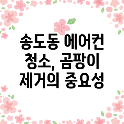 송도동 에어컨 청소, 곰팡이 제거의 중요성