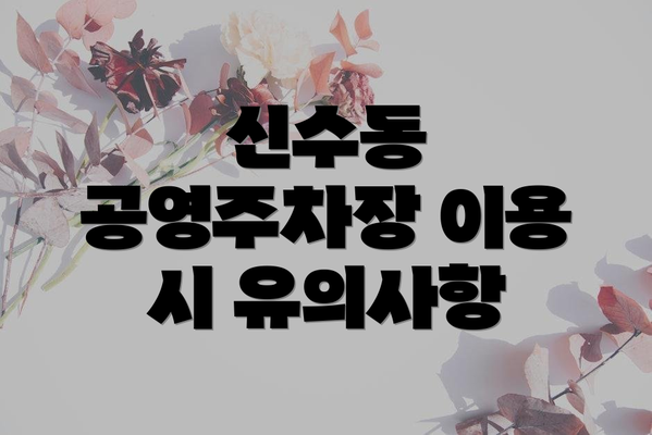 신수동 공영주차장 이용 시 유의사항