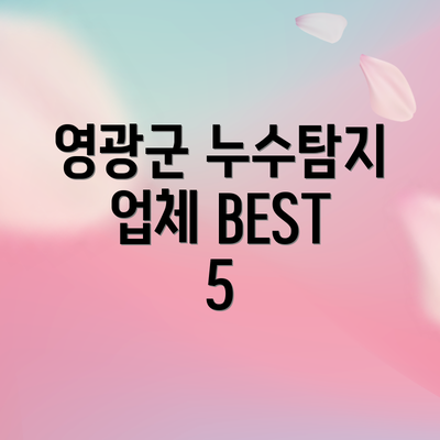영광군 누수탐지 업체 BEST 5