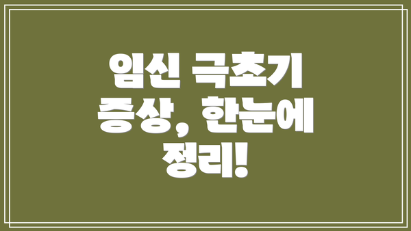 임신 극초기 증상, 한눈에 정리!