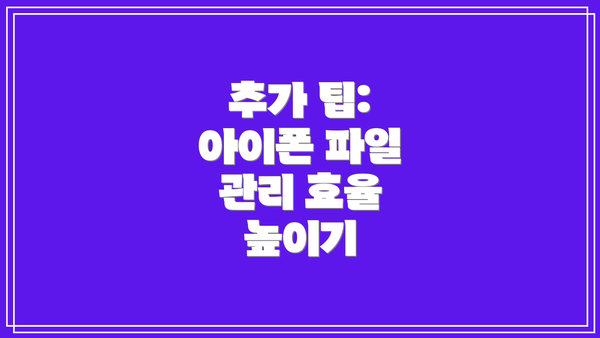추가 팁: 아이폰 파일 관리 효율 높이기