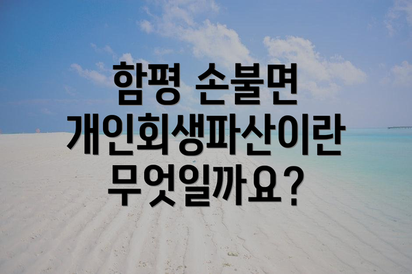 함평 손불면 개인회생파산이란 무엇일까요?