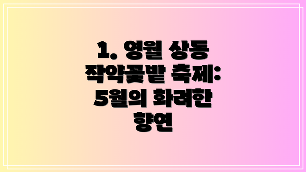 1. 영월 상동 작약꽃밭 축제: 5월의 화려한 향연