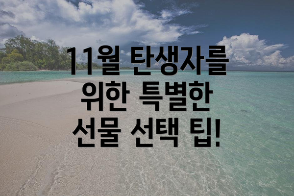 11월 탄생자를 위한 특별한 선물 선택 팁!