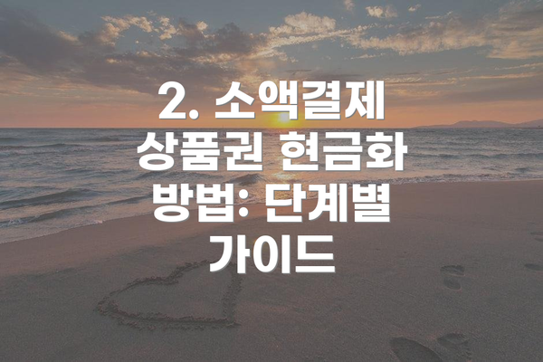2. 소액결제 상품권 현금화 방법: 단계별 가이드
