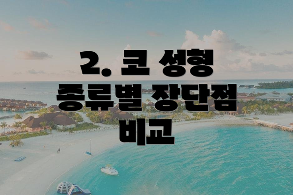 2. 코 성형 종류별 장단점 비교