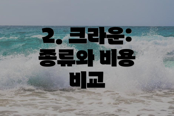 2. 크라운: 종류와 비용 비교
