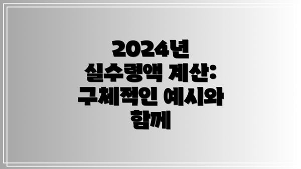 2024년 실수령액 계산:  구체적인 예시와 함께