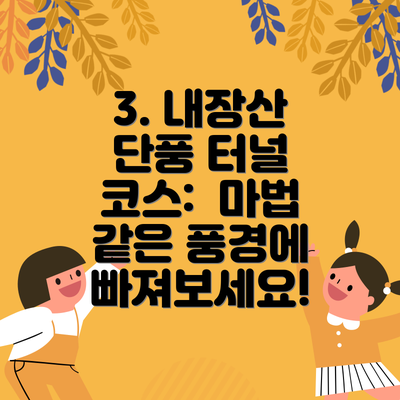 3. 내장산 단풍 터널 코스:  마법 같은 풍경에 빠져보세요!