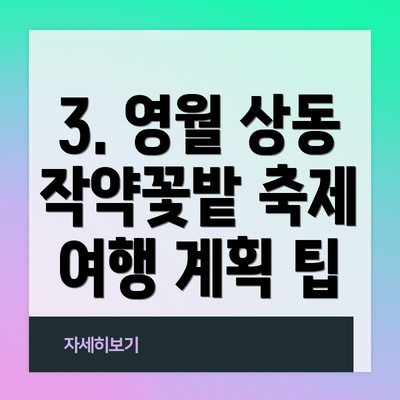 3. 영월 상동 작약꽃밭 축제 여행 계획 팁