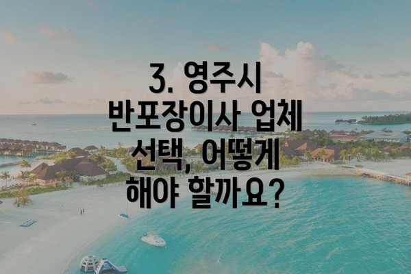 3. 영주시 반포장이사 업체 선택, 어떻게 해야 할까요?