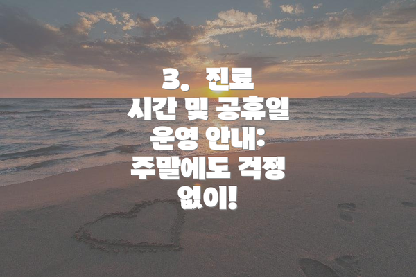 3.  진료 시간 및 공휴일 운영 안내:  주말에도 걱정 없이!