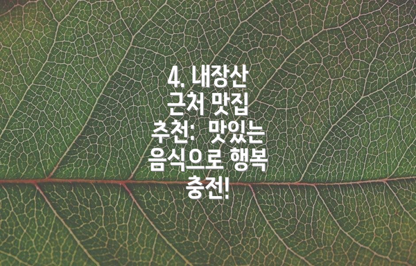 4. 내장산 근처 맛집 추천:  맛있는 음식으로 행복 충전!