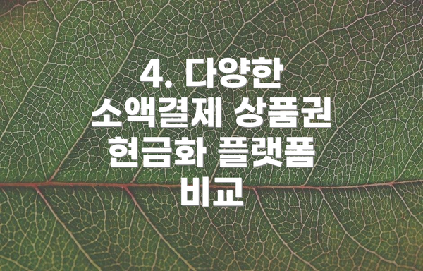 4. 다양한 소액결제 상품권 현금화 플랫폼 비교