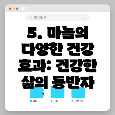 5. 마늘의 다양한 건강 효과: 건강한 삶의 동반자