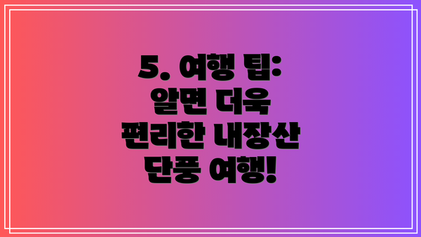 5. 여행 팁: 알면 더욱 편리한 내장산 단풍 여행!