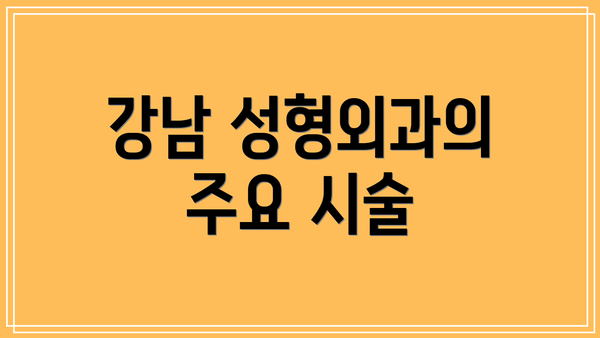 강남 성형외과의 주요 시술