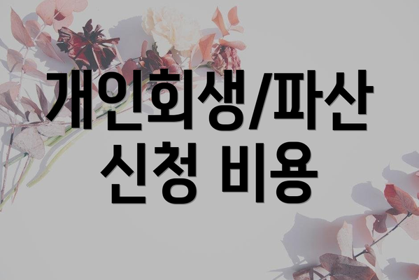 개인회생/파산 신청 비용