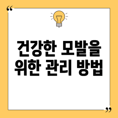 건강한 모발을 위한 관리 방법