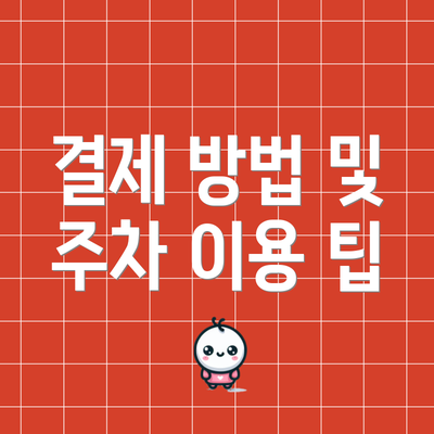 결제 방법 및 주차 이용 팁