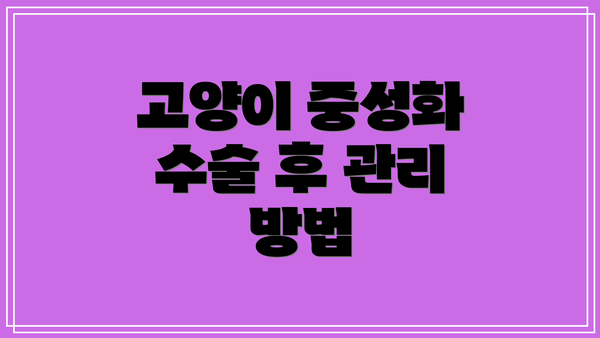 고양이 중성화 수술 후 관리 방법