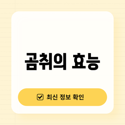 곰취의 효능