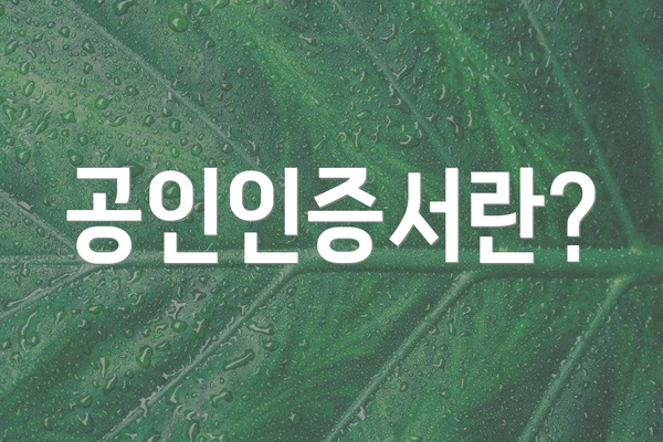 공인인증서란?