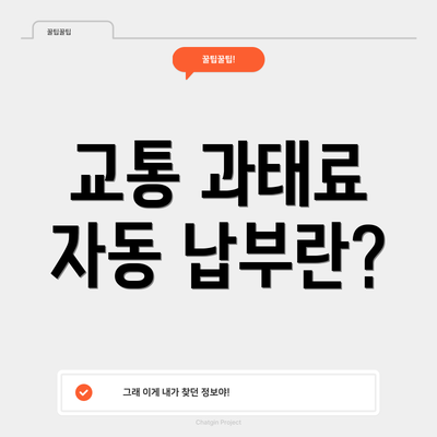 교통 과태료 자동 납부란?