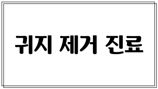 귀지 제거 진료