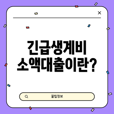 긴급생계비 소액대출이란?