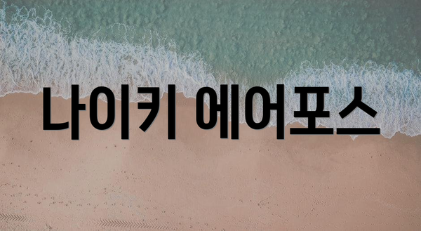 나이키 에어포스