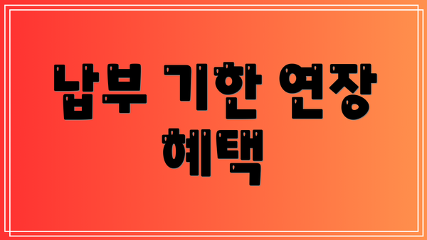 납부 기한 연장 혜택