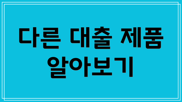 다른 대출 제품 알아보기