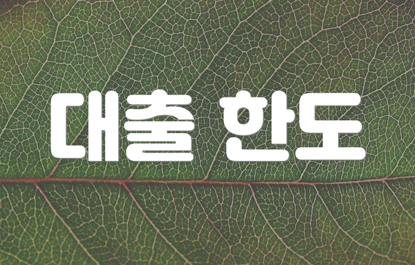 대출 한도